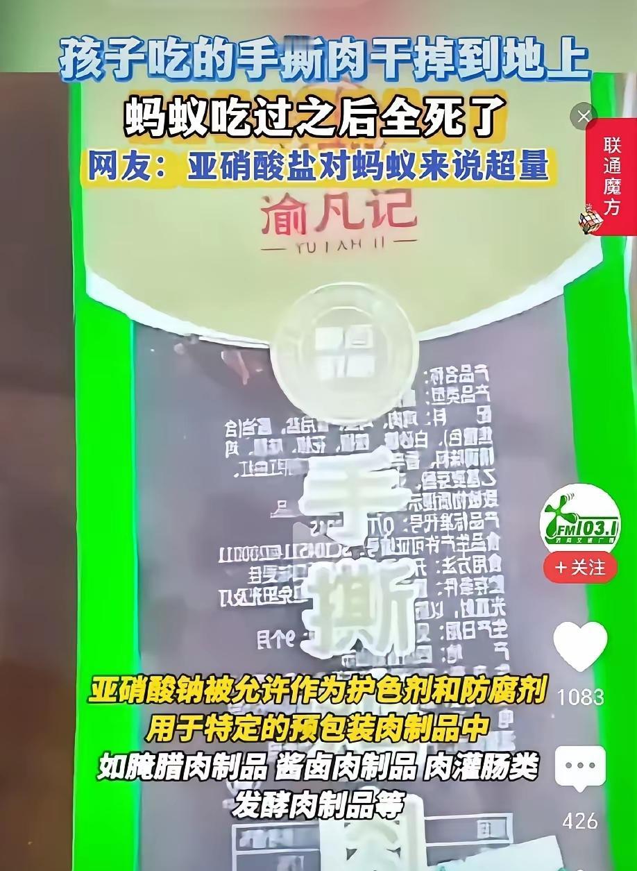小朋友手里的牛肉干又香又好吃，他也是一片好心，顺手撕了几片丢给家里的小蚂蚁吃，谁