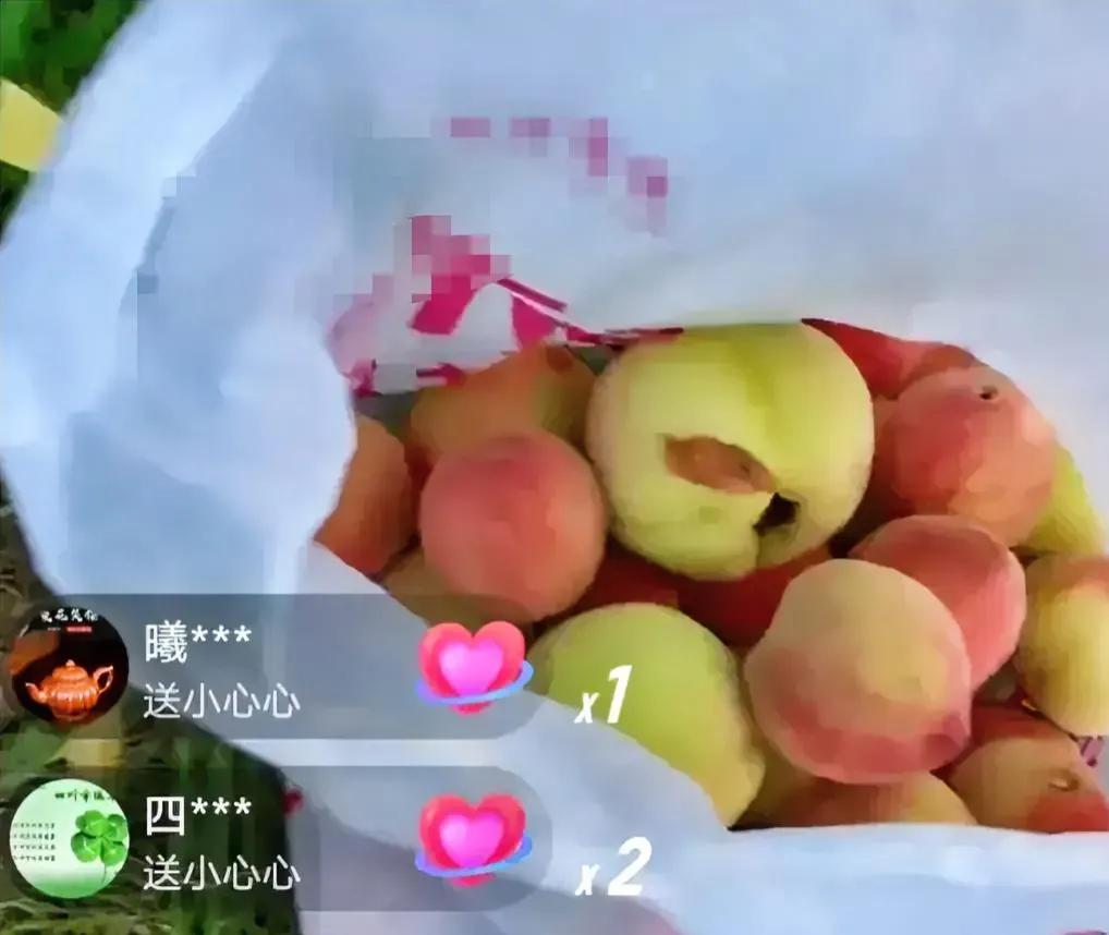 杜新枝想约见柴桑。

昨天杜新志开启直播。讲了说她让冒子叔叔来约见柴桑和云昊的。