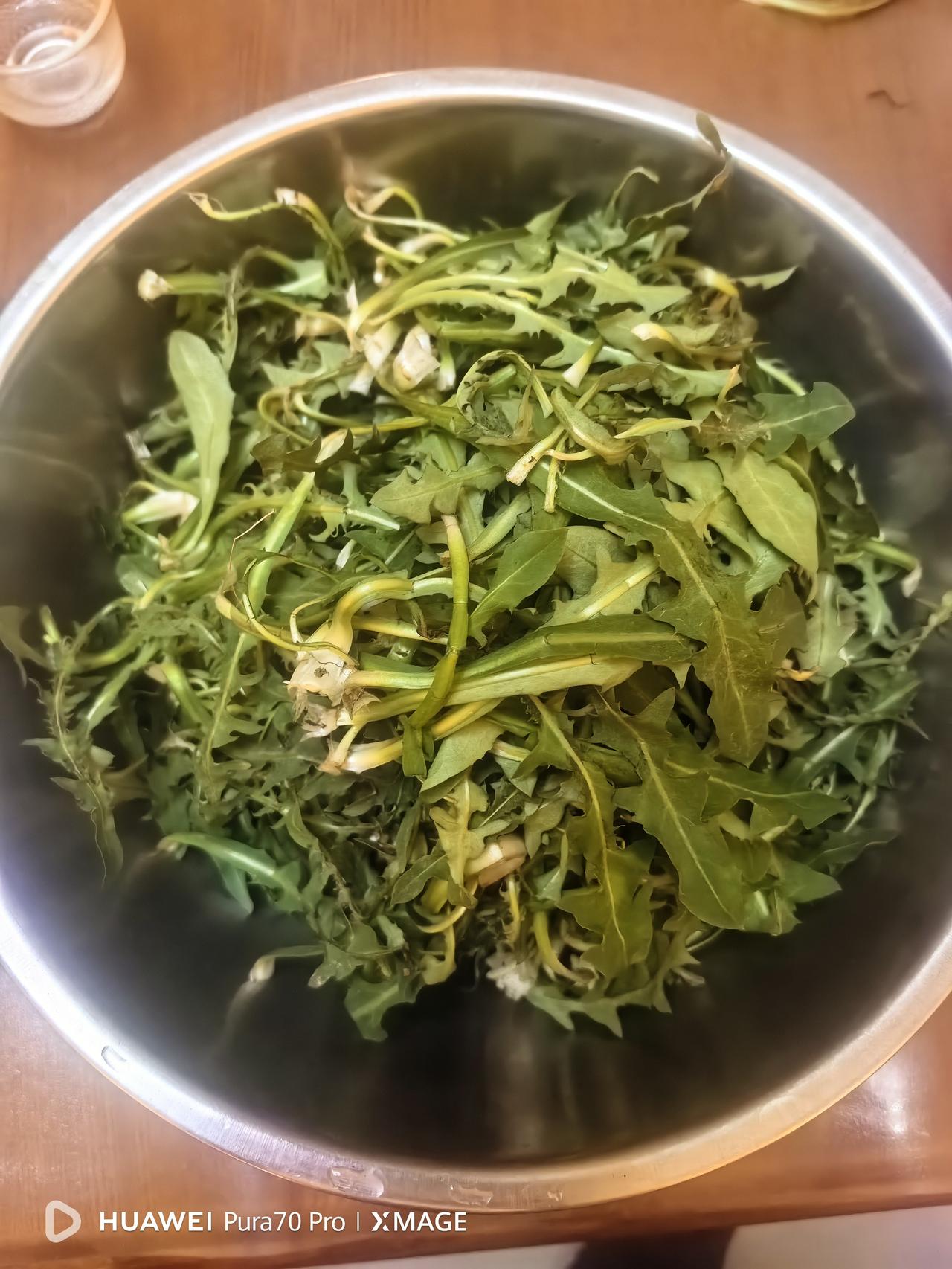 今天在街边遇到一位卖菜的老人，面前摆着一大袋蒲公英。老人说是自己从地里挖的，5元