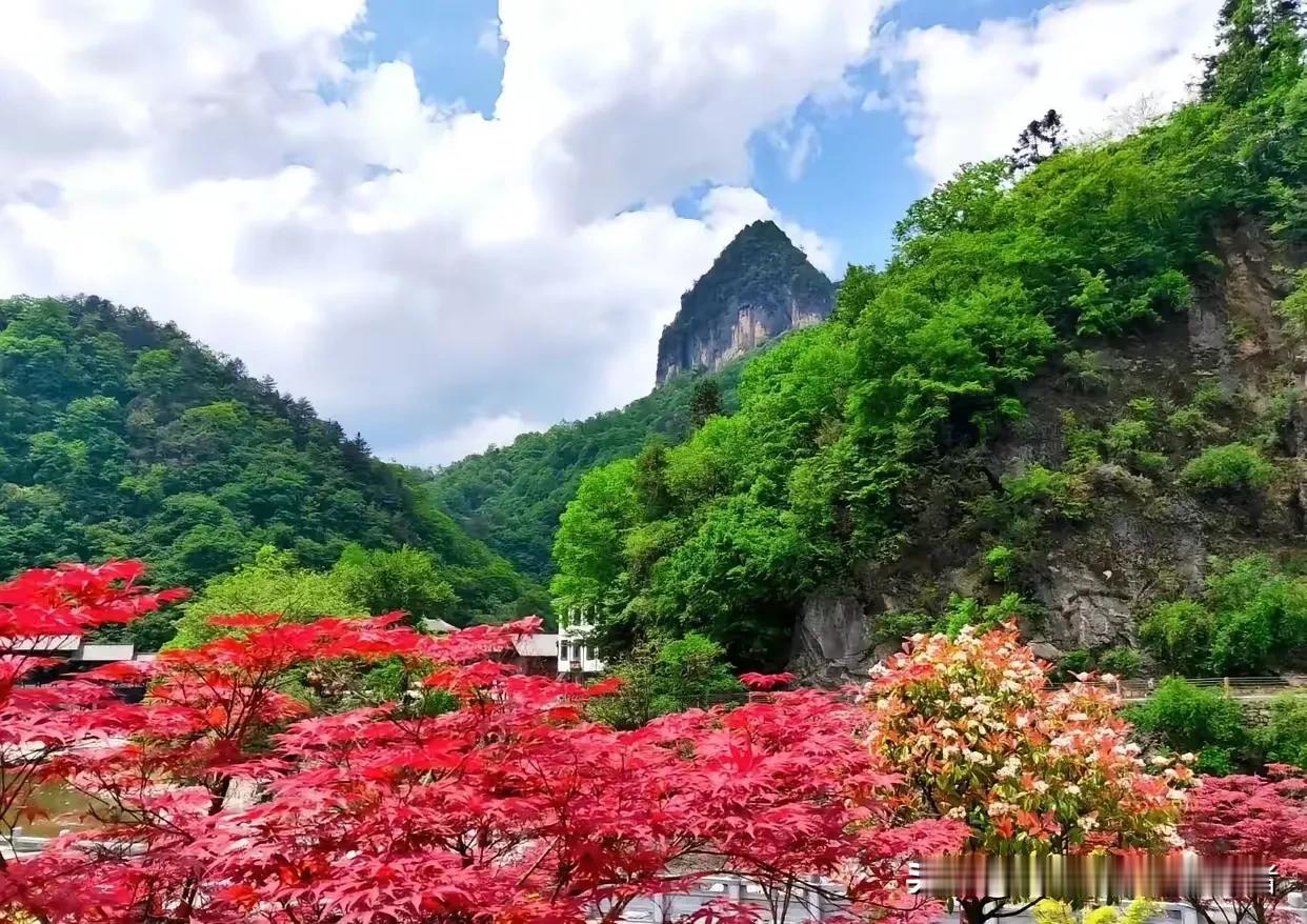  【今秋小升初】三大看点
一，铁一辅轮、工大翱翔，会不会涨学费，毕竟更低一档的交