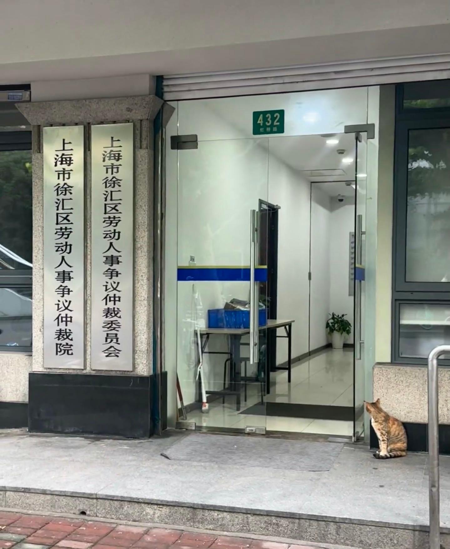 是谁把小猫逼去劳动仲裁了！ ​​​