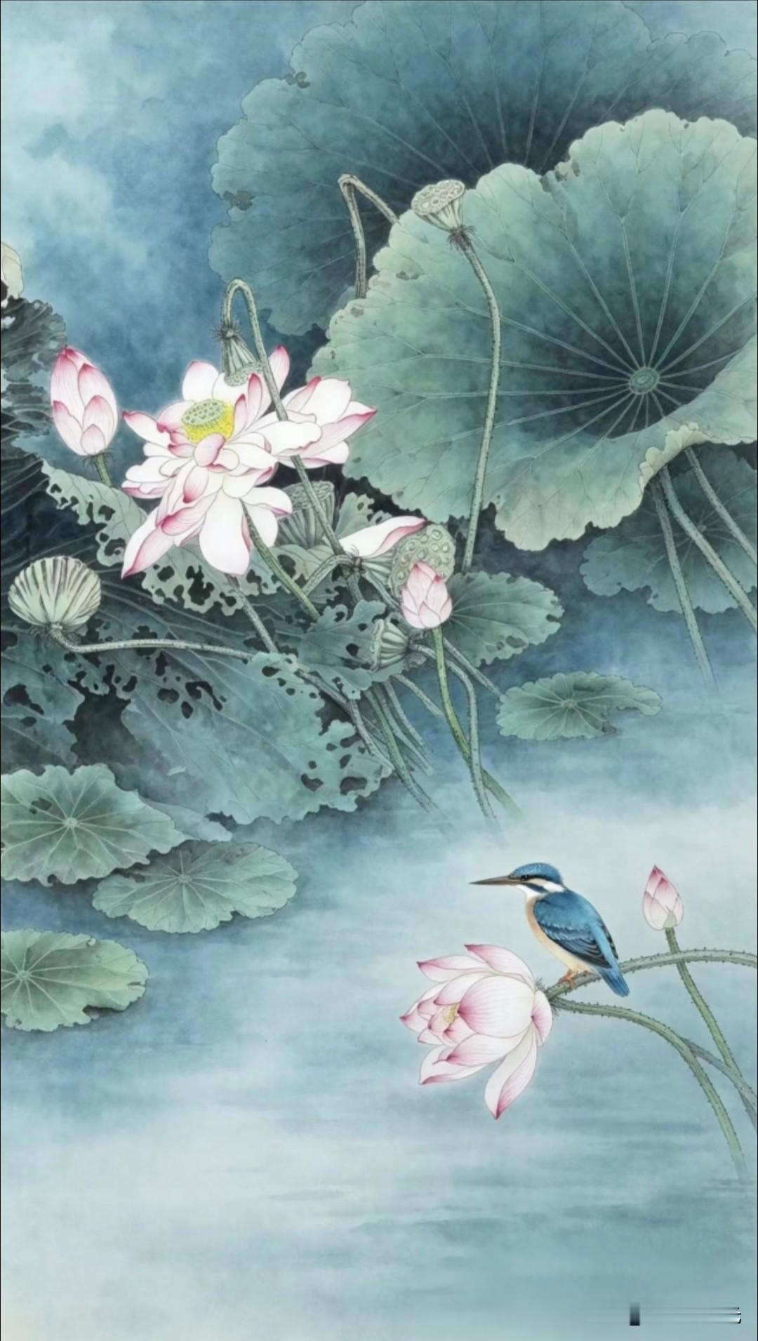一池清荷，漫染浅蓝烟水。粉荷娉婷，碧叶舒展，露珠凝于莲叶之上，晕开淡淡的水墨清韵