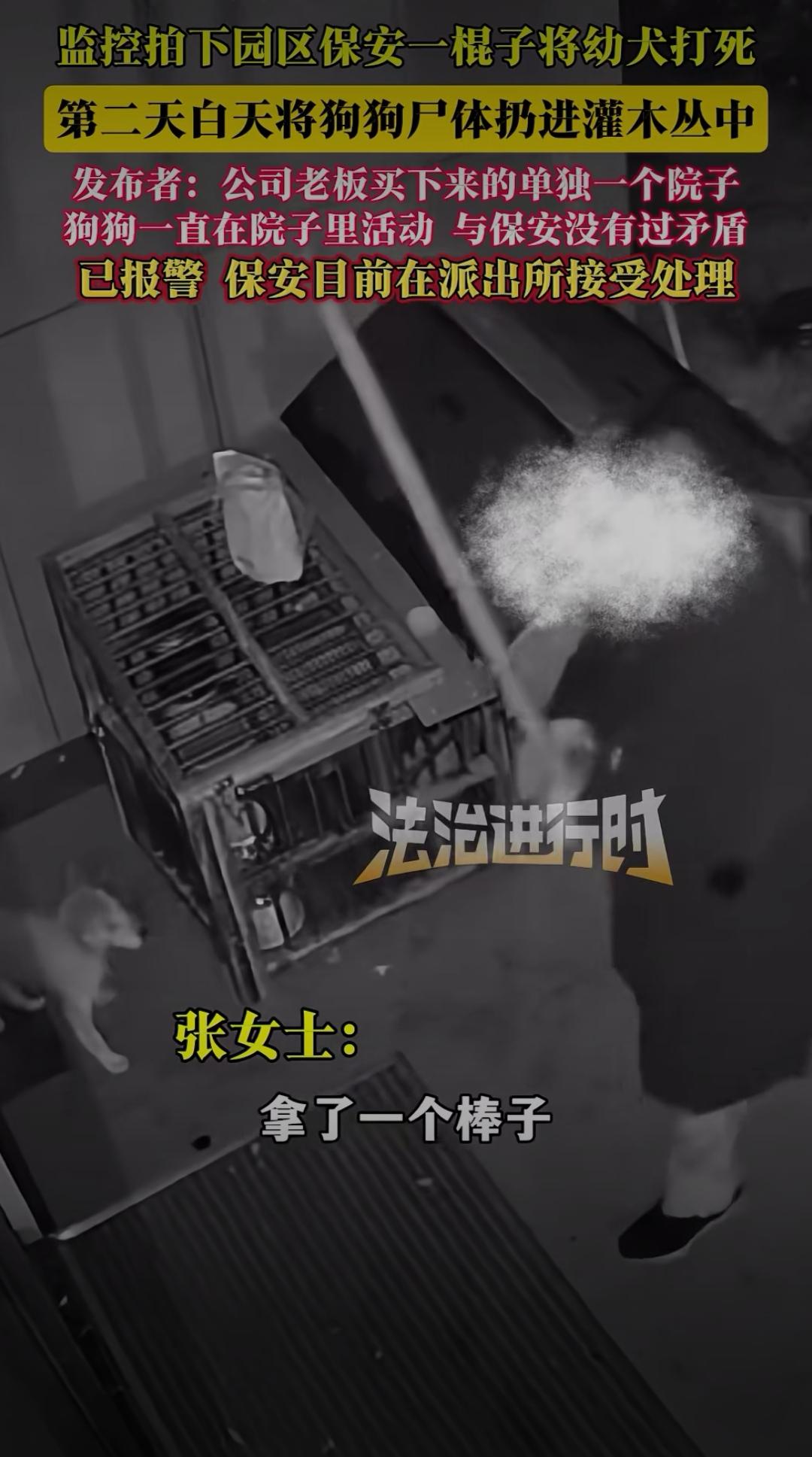 监控曝光！保安一棍打死园区幼犬：善良可以缺席，但不能施暴
 爱护动物敬畏生命 