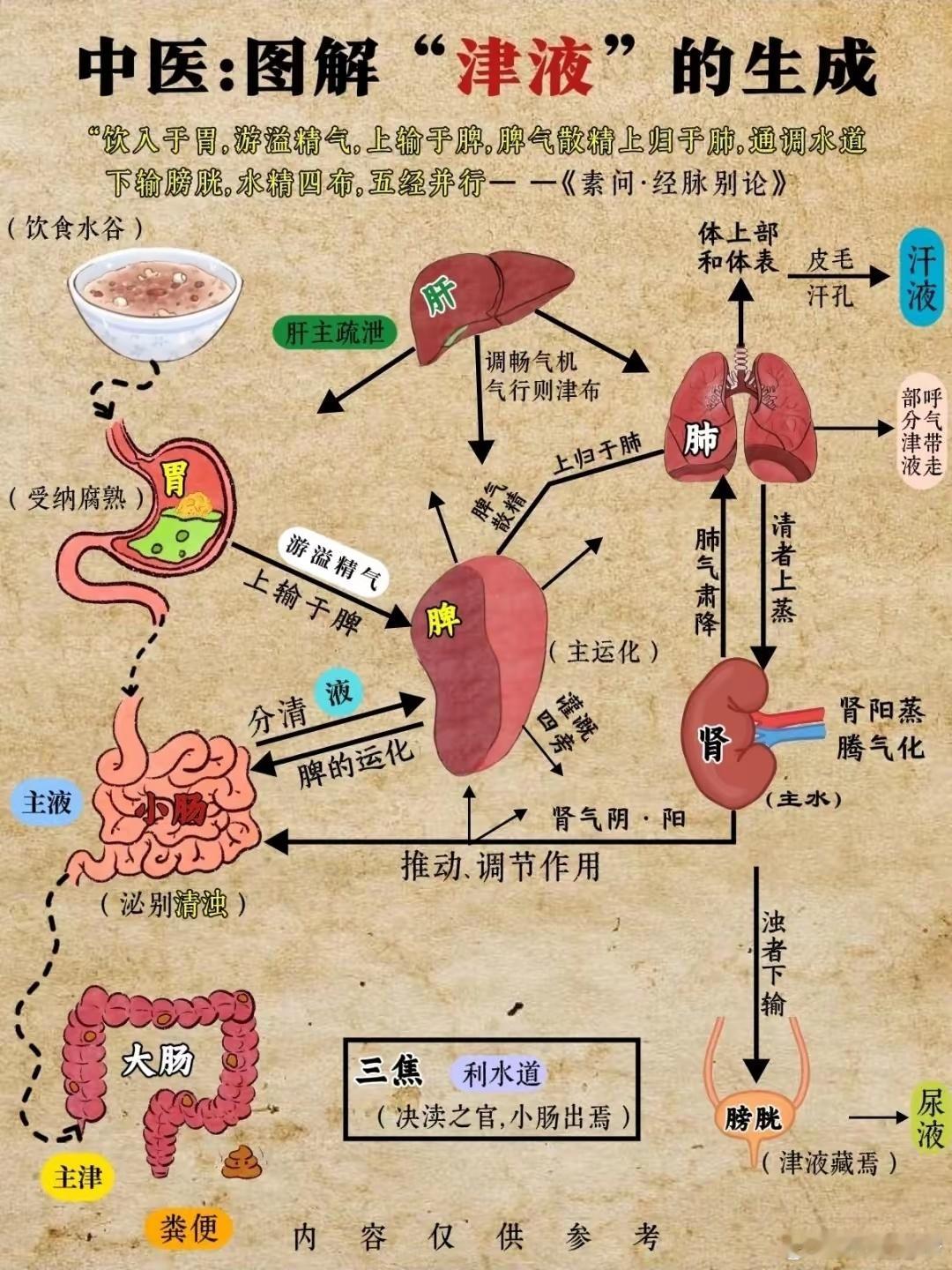 宽窄观察黄帝内经 人为什么会流眼泪？为什么流泪的时候常常伴着流鼻涕？为什么说“一