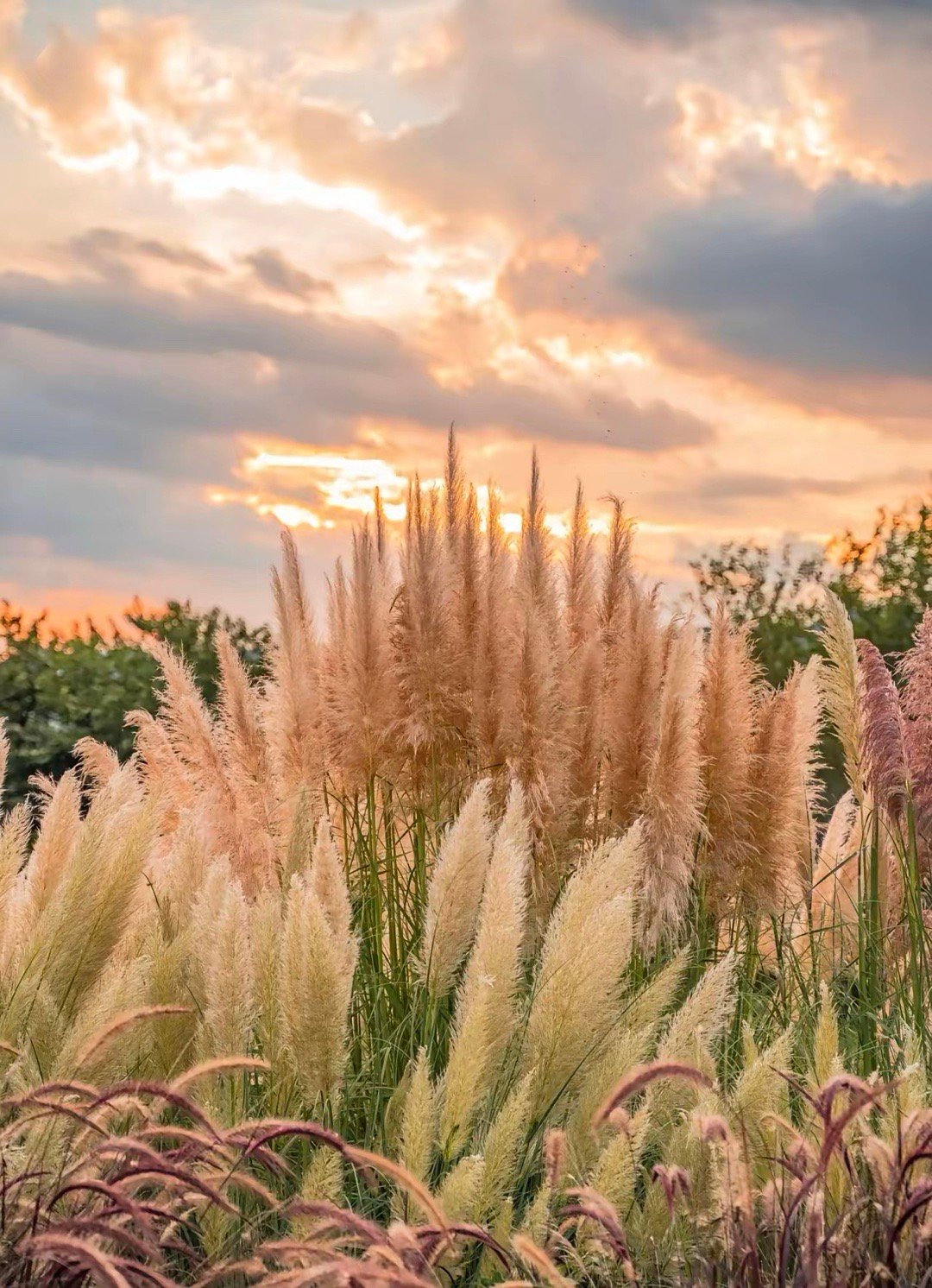 利好又来了，明天会大阳反包吗？今天A股缩量微跌，4000多家股票绿盘，股民又是损