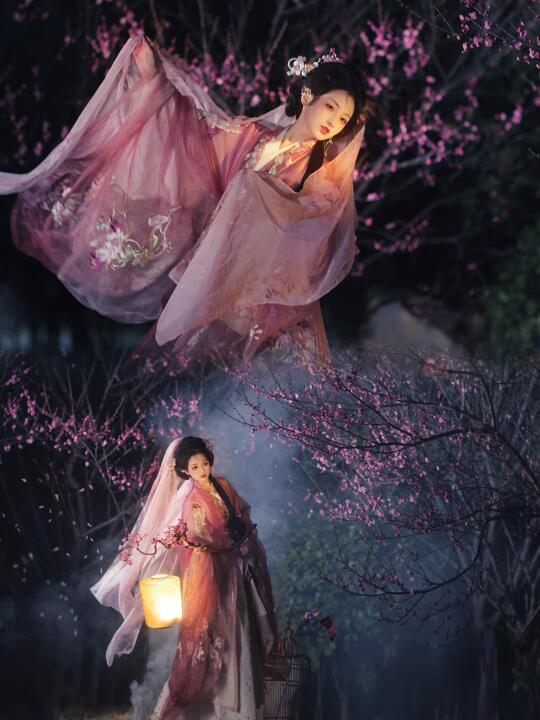 梅花树下梅花仙？武汉的梅花正当时