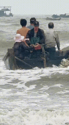 浪尖人生