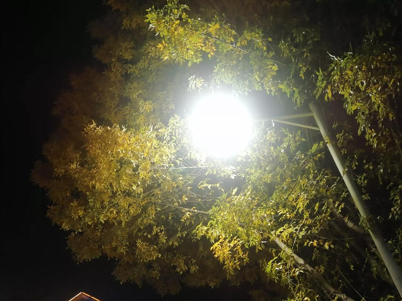 晒图笔记大赛好漂亮