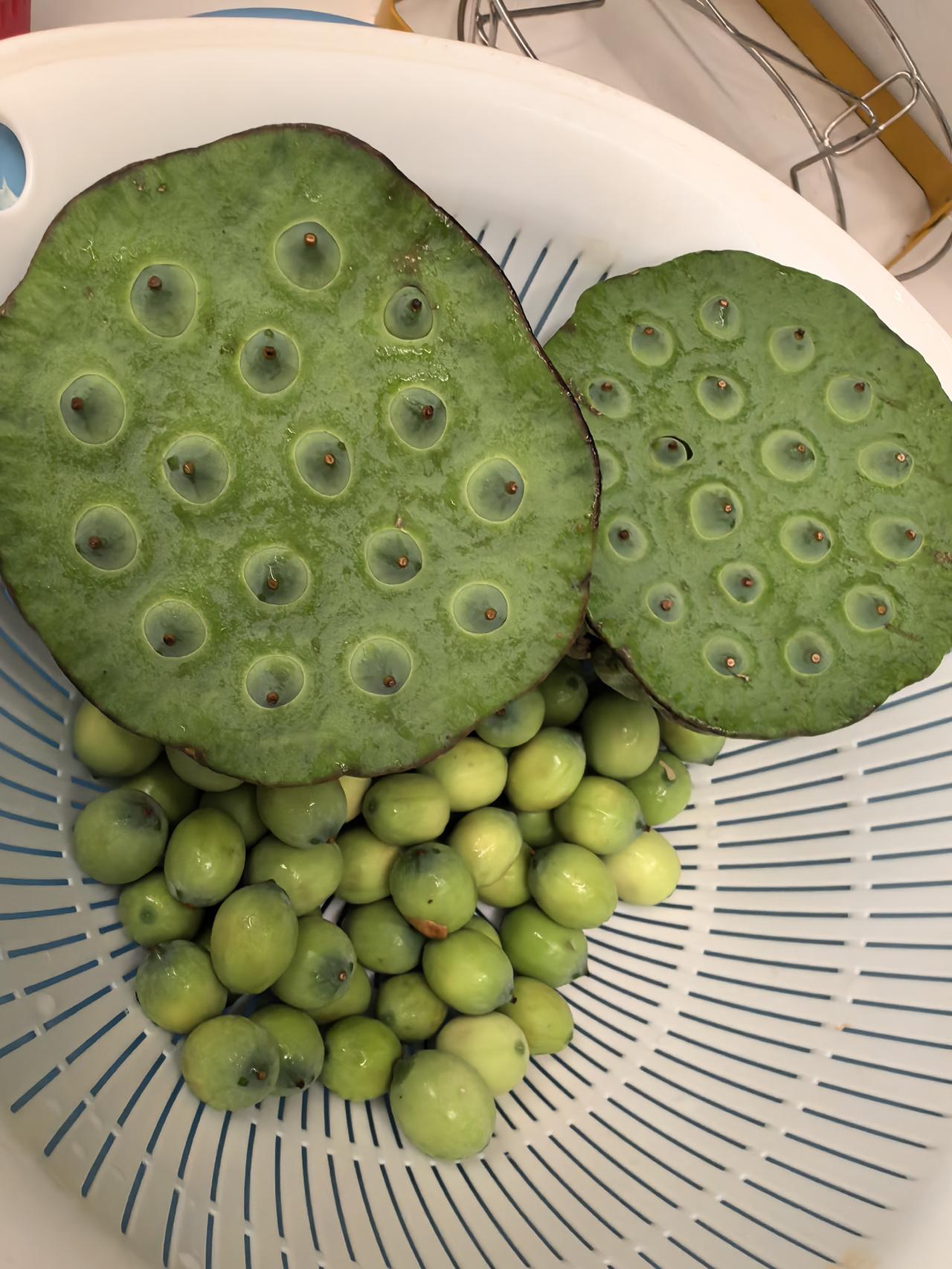 朋友从武汉游玩回来给我带了一袋新鲜莲子和一朵荷花花苞。
      感动之余，从