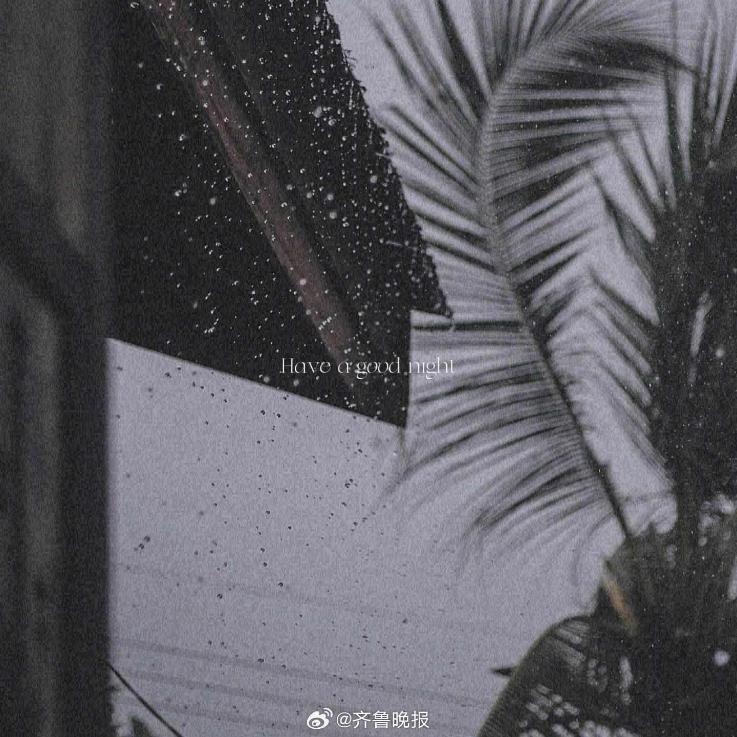 别听世俗耳语看自己的风景就好[月亮] #晚安# ​​​