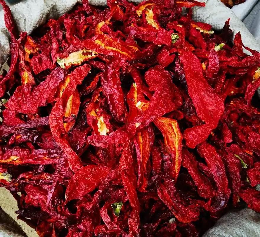 辣椒馅的饺子，很好吃。相信很多人会望而却步，广东的小朋友会感叹，这辣椒是我们全家