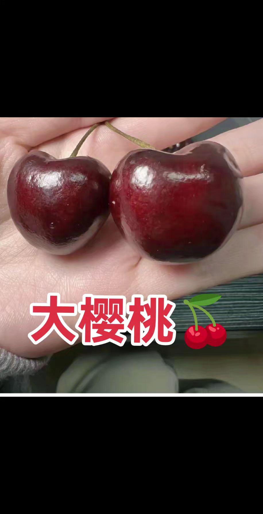 车厘子自由 樱桃🍒 大樱桃