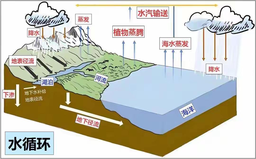 自然界的水循环系统[狗头]