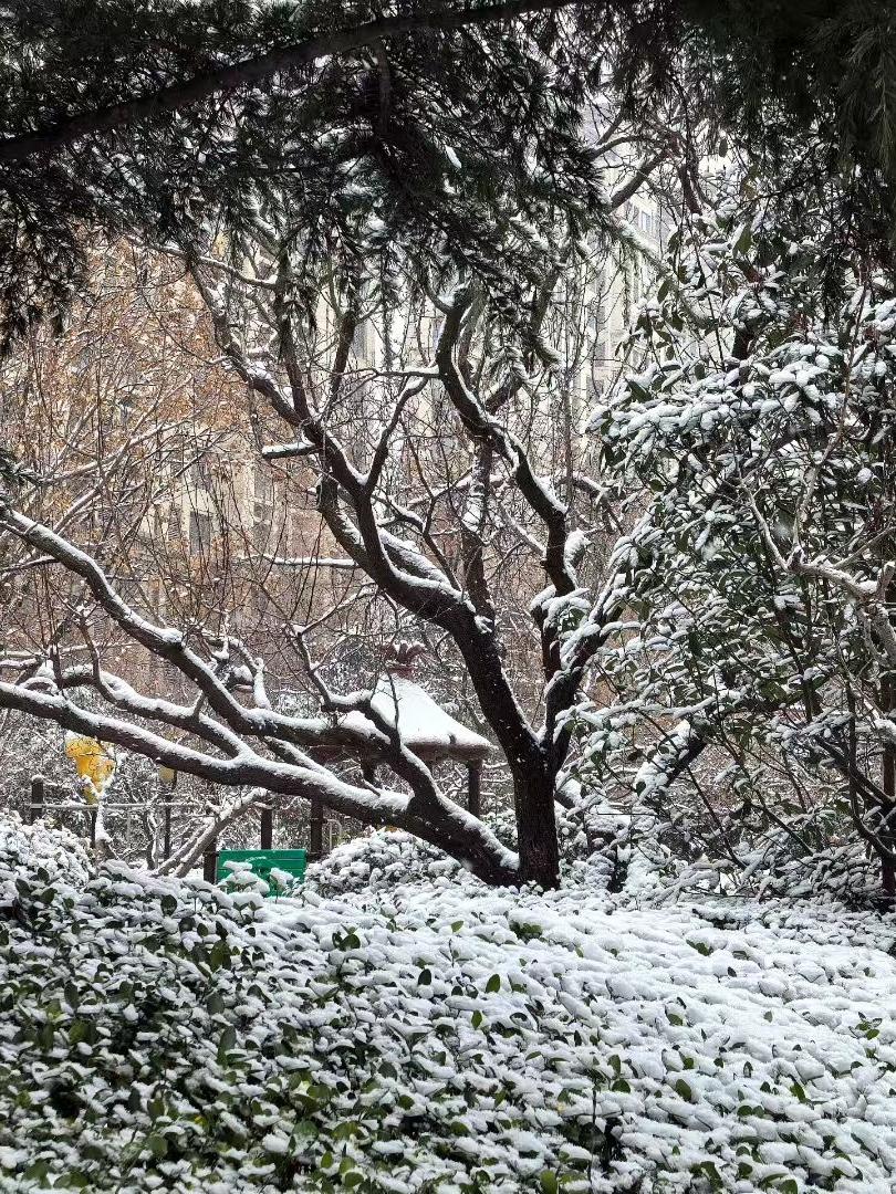 对于这个问题，我觉得广州下雪的概率还是很低的。
因为，下雪是需要多重天气条件都凑