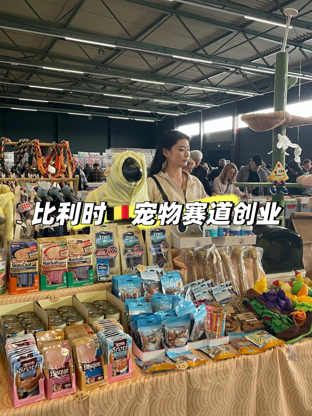 比利时🇧🇪宠物赛道创业｜今天是室内摆摊