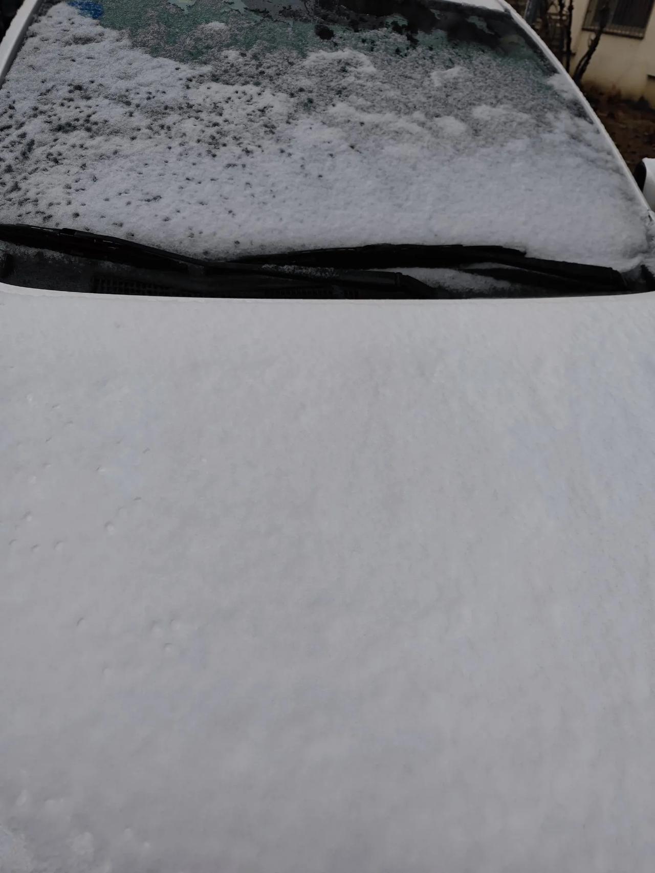 青岛，冬天的雪留着春天下