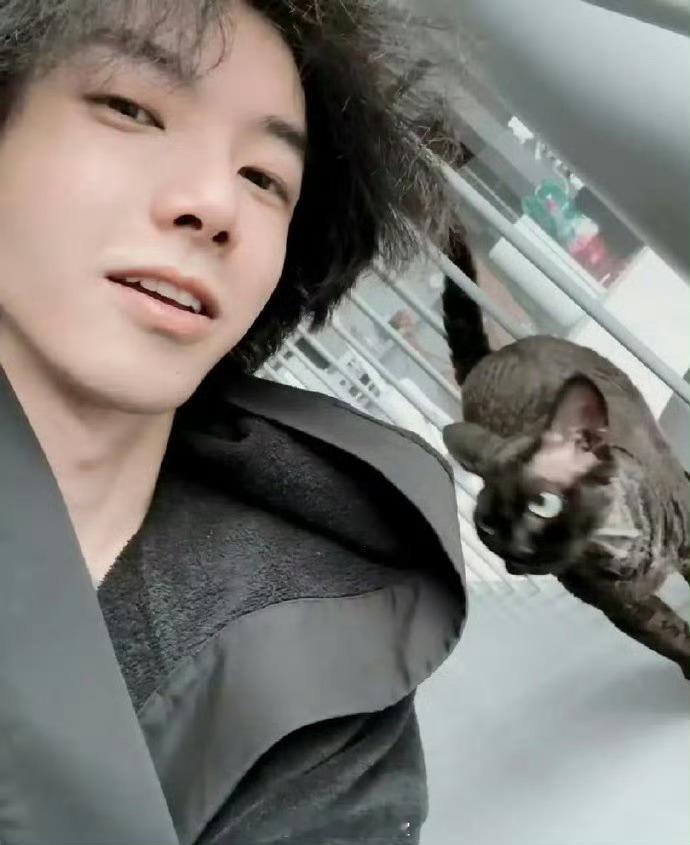 华晨宇喂猫吃巧克力蛋糕说实话，养猫的人都知道巧克力对猫不好，但那视频里猫就是自己