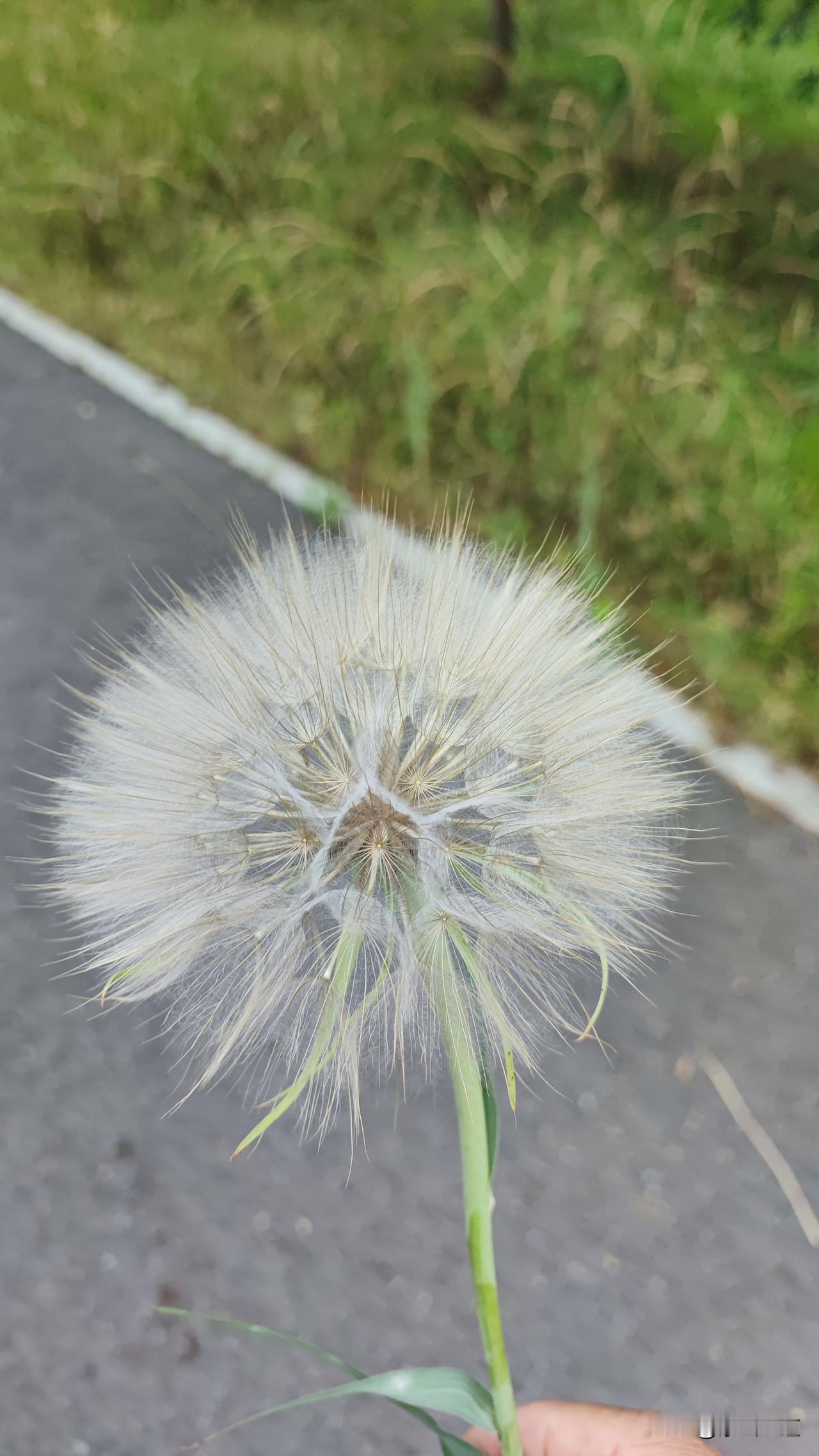 轻轻一碰，就能带着心愿奔赴远方， 这是多么美好的山间美景啊！享受幸福生活，感受温