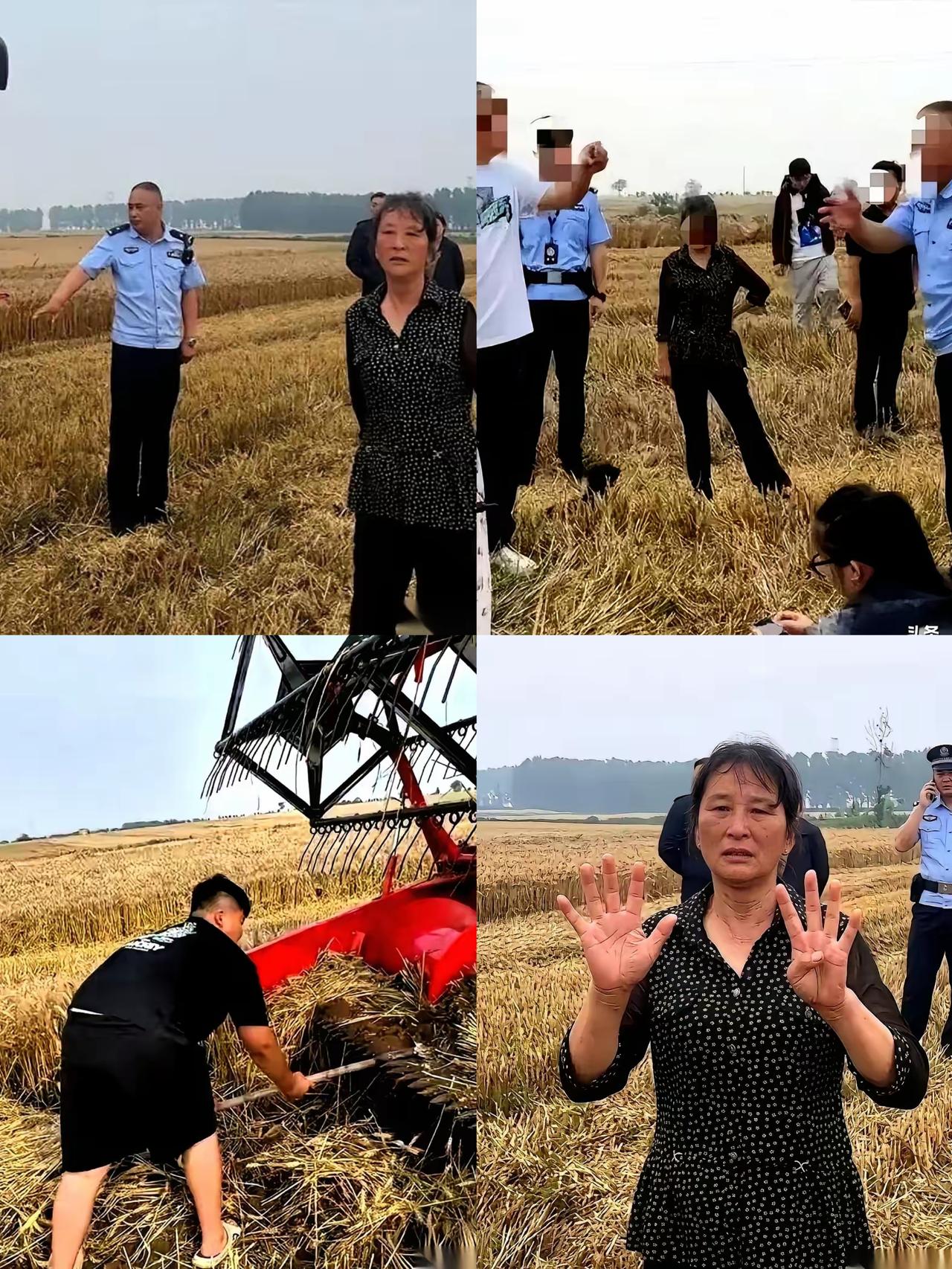 谁也没想到，襄阳这场麦收纠纷，最后反转看得人心里五味杂陈。河南一对年轻夫妻带着襁