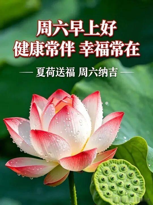 2026/06/20/（农历四月初六）“周六早安，健康常伴，幸福常在！”🌸💧