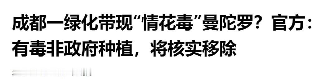成都绿化带惊现有毒曼陀罗，官方：非政府种植，将核实移除。

上班路边闻到一阵清香