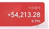 晒一个账户吧，这个最多的时候，大赚了9万，回落不少，其他账户都是红盘，赚的不多，