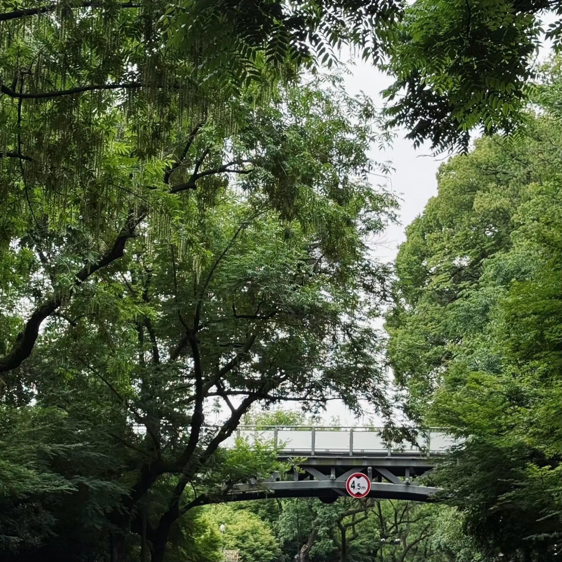 拆解一个毒鸡汤，很多人喜欢说“问题都要交给时间，总会过去的”是的，这话说的没错，