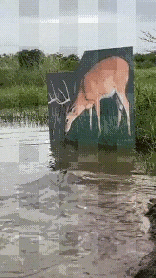 鳄鱼万万没想到这辈子受到如此奇耻大辱～