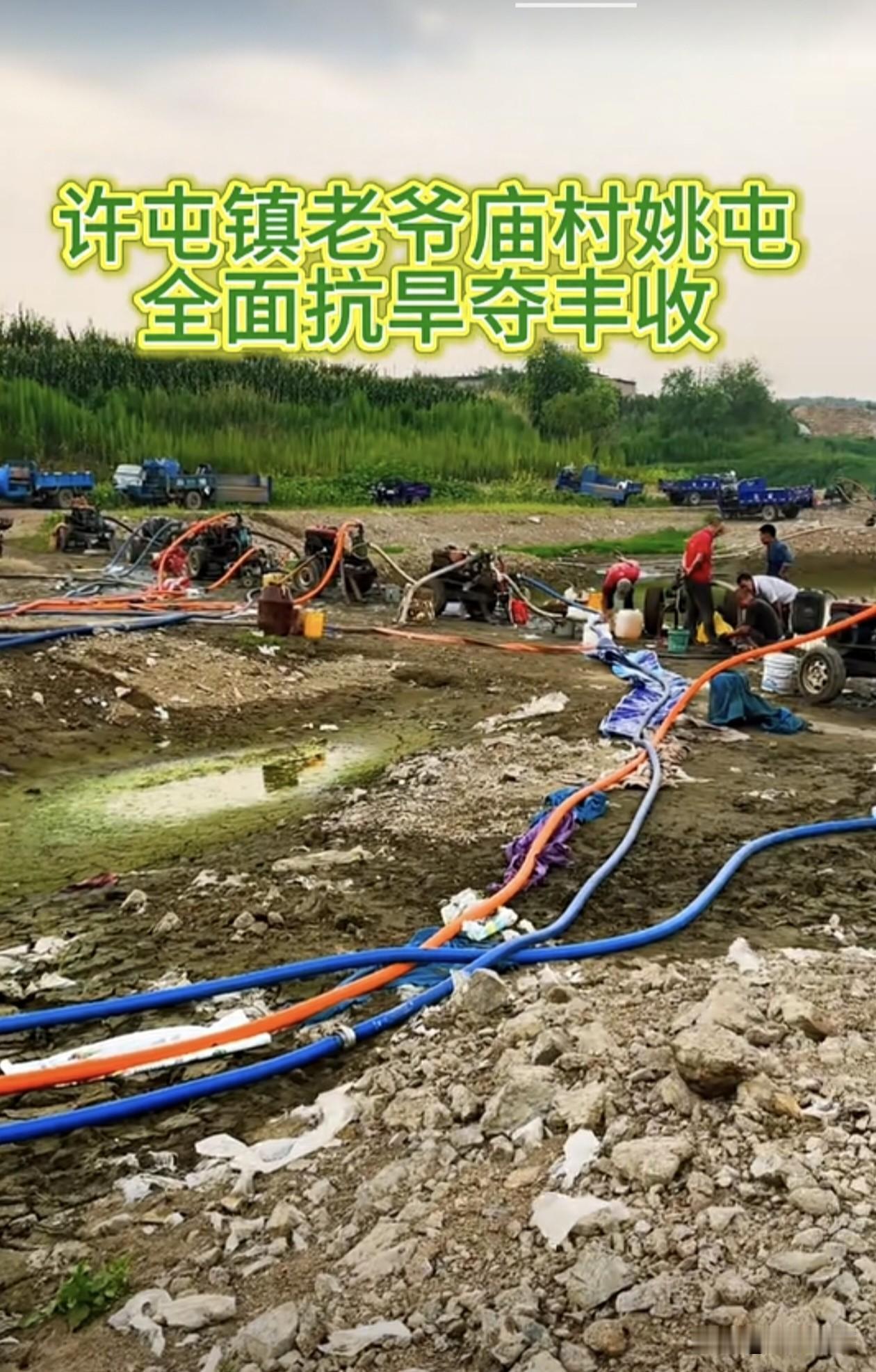37度高温干旱！瓦房店许屯镇村民全力抗旱，只盼丰收不负汗水！
 
近段时间，辽宁
