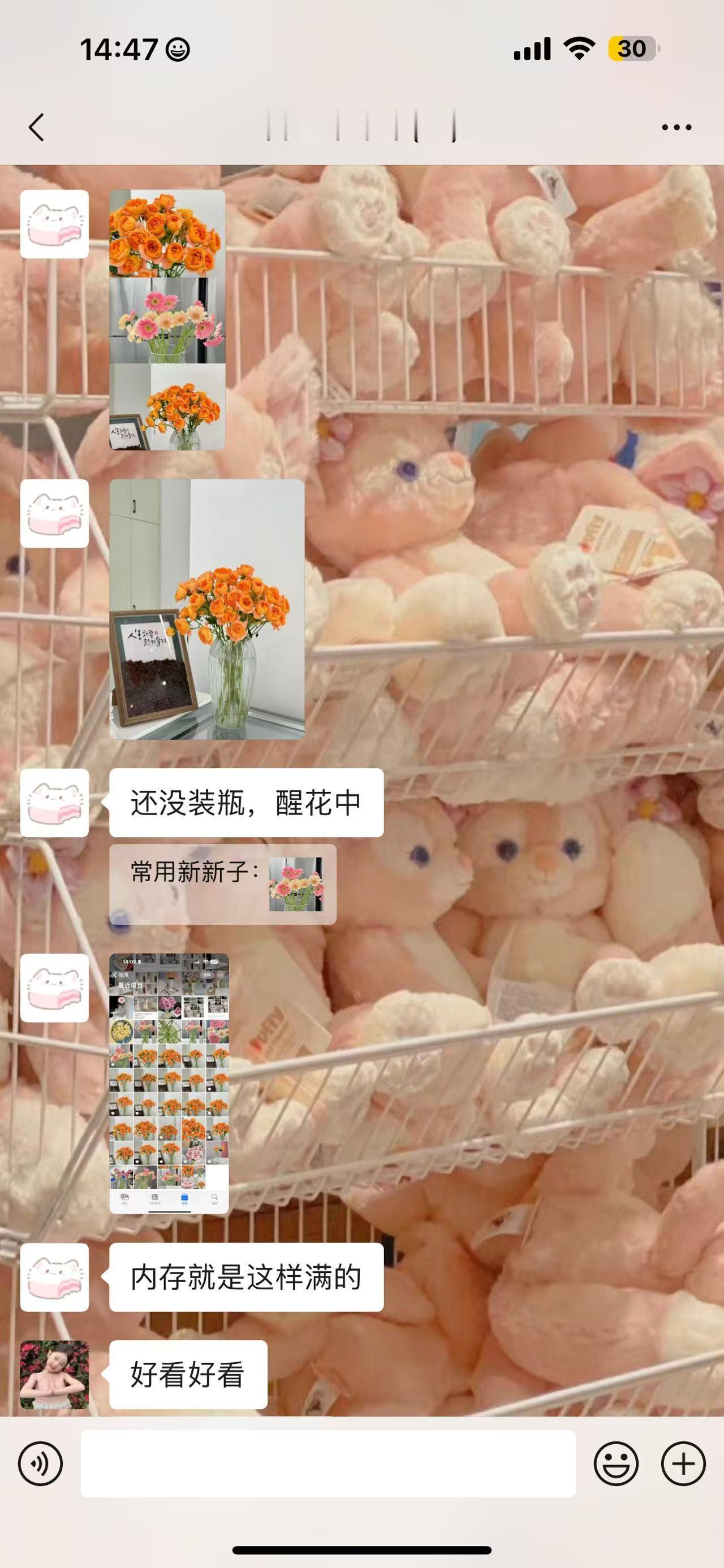 最近被身边一位爱养花的朋友种草了，看她每天在群里分享各种漂亮花花，我们这群小姐妹