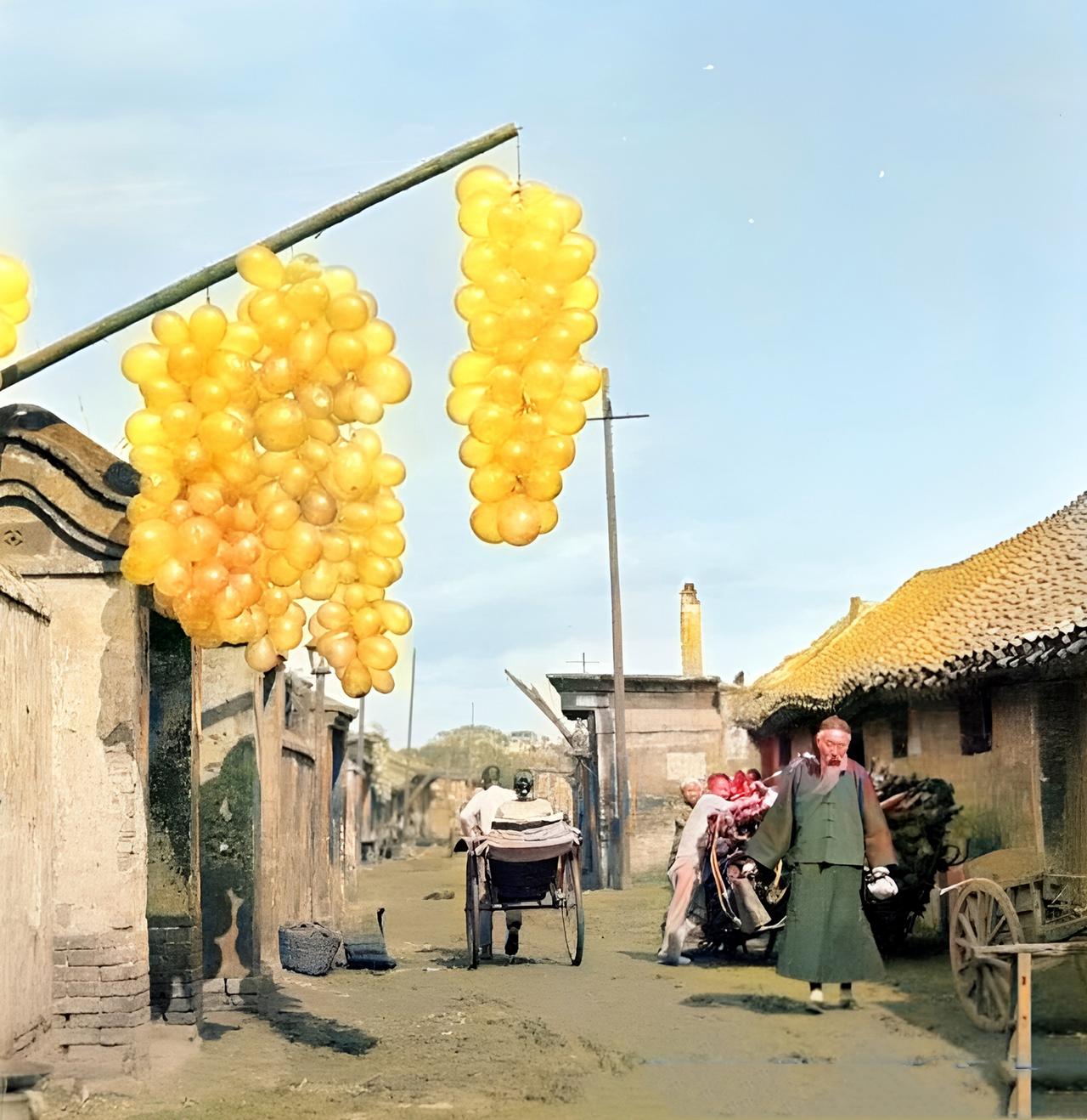 1927年，一户人家在屋门口，用木杆挂起了一串串的“气球”。

其实这并不是我们