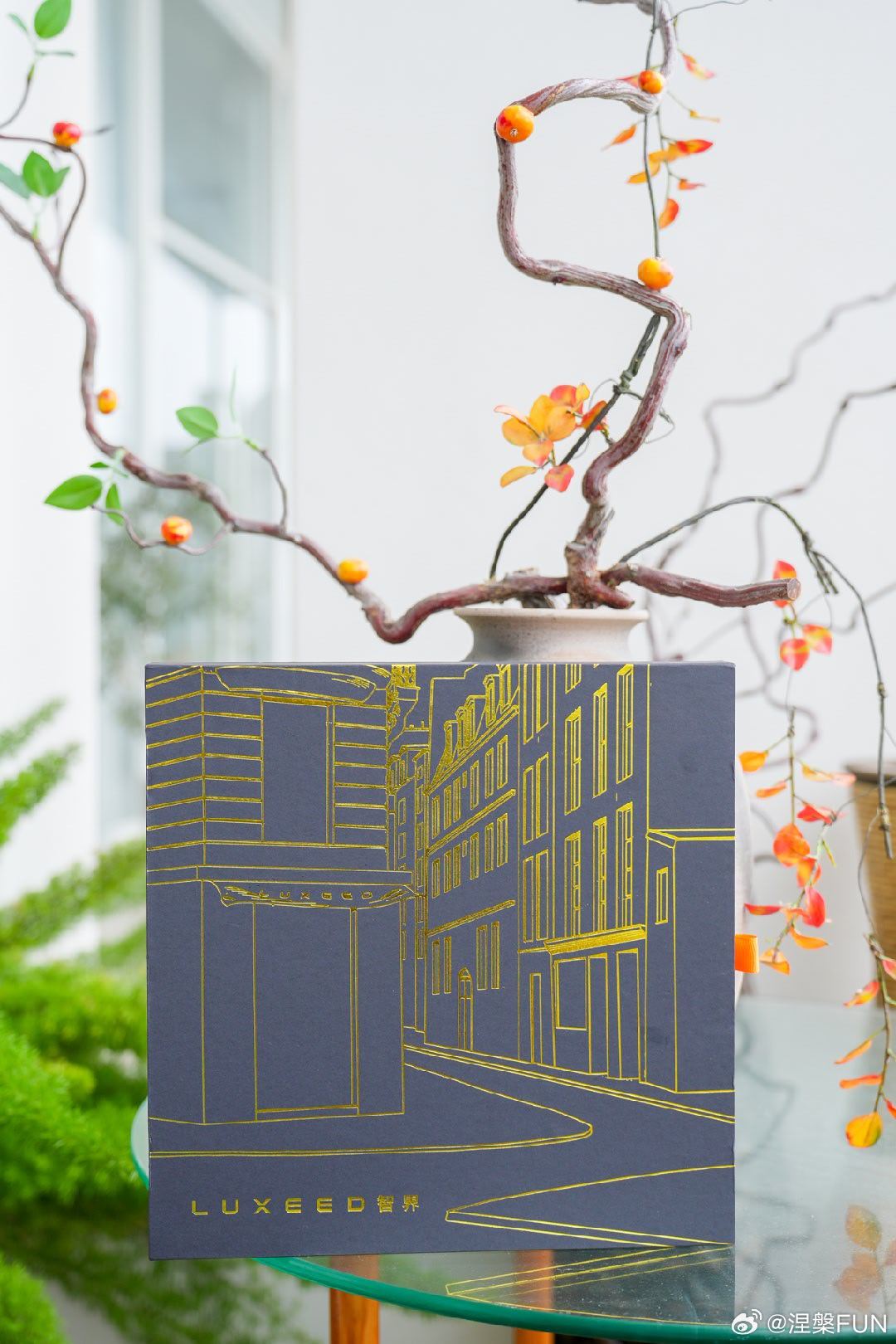 智界汽车与艺术家Karlotta Freier一起设计的限量丝巾礼盒，已查收。这