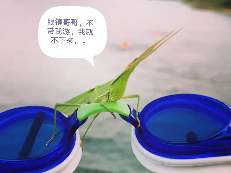 看到一种新的写作方式，就是起一个逆大众认知的题目，比如大家都在抨击某大善人，他的