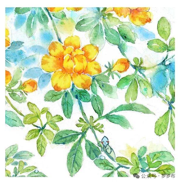 艳丽花朵随手拍