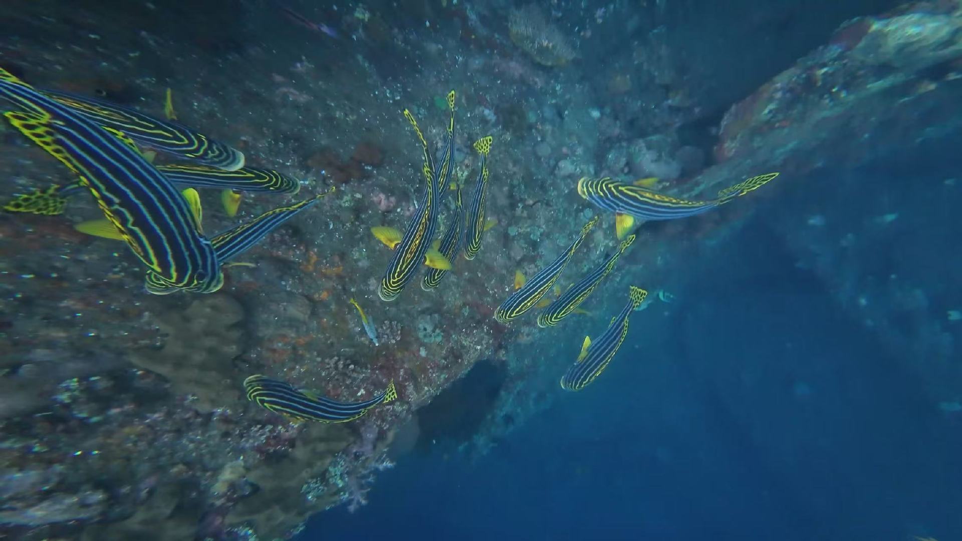 无畏冬至快乐无畏发点日常 无畏发点日常 