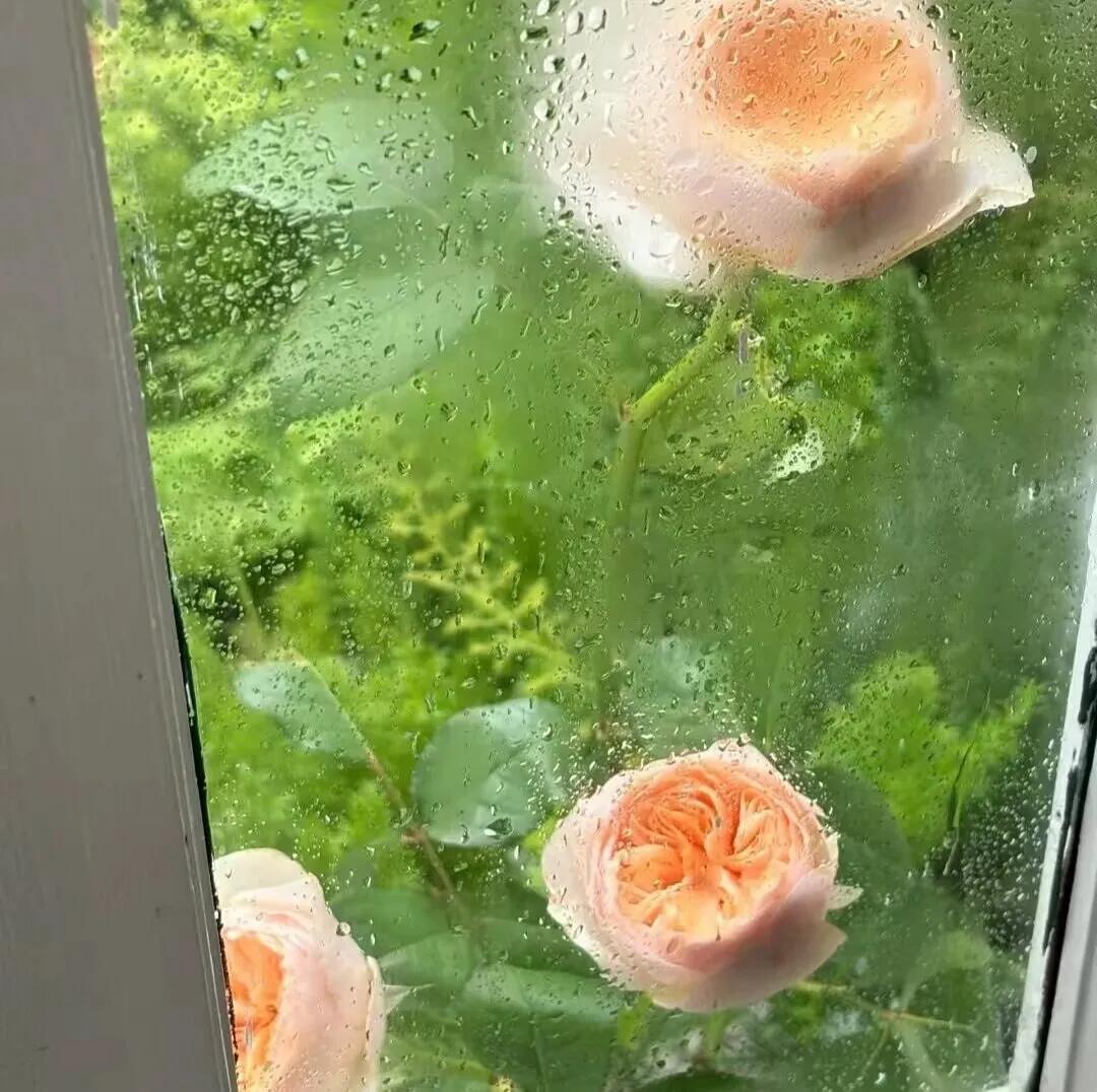 每日一善每日一善‬阳光‬‬信用 每一次沉淀，都是惊喜的伏笔。当沉淀到一定厚度，惊