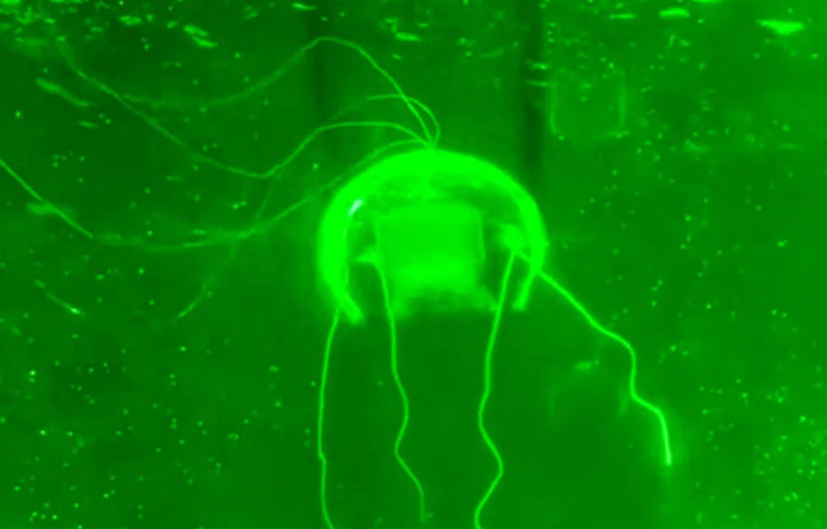 仿生水母机器人！西北工大又推出一款海底武器，具备AI探测能力专克美潜艇！最近，西