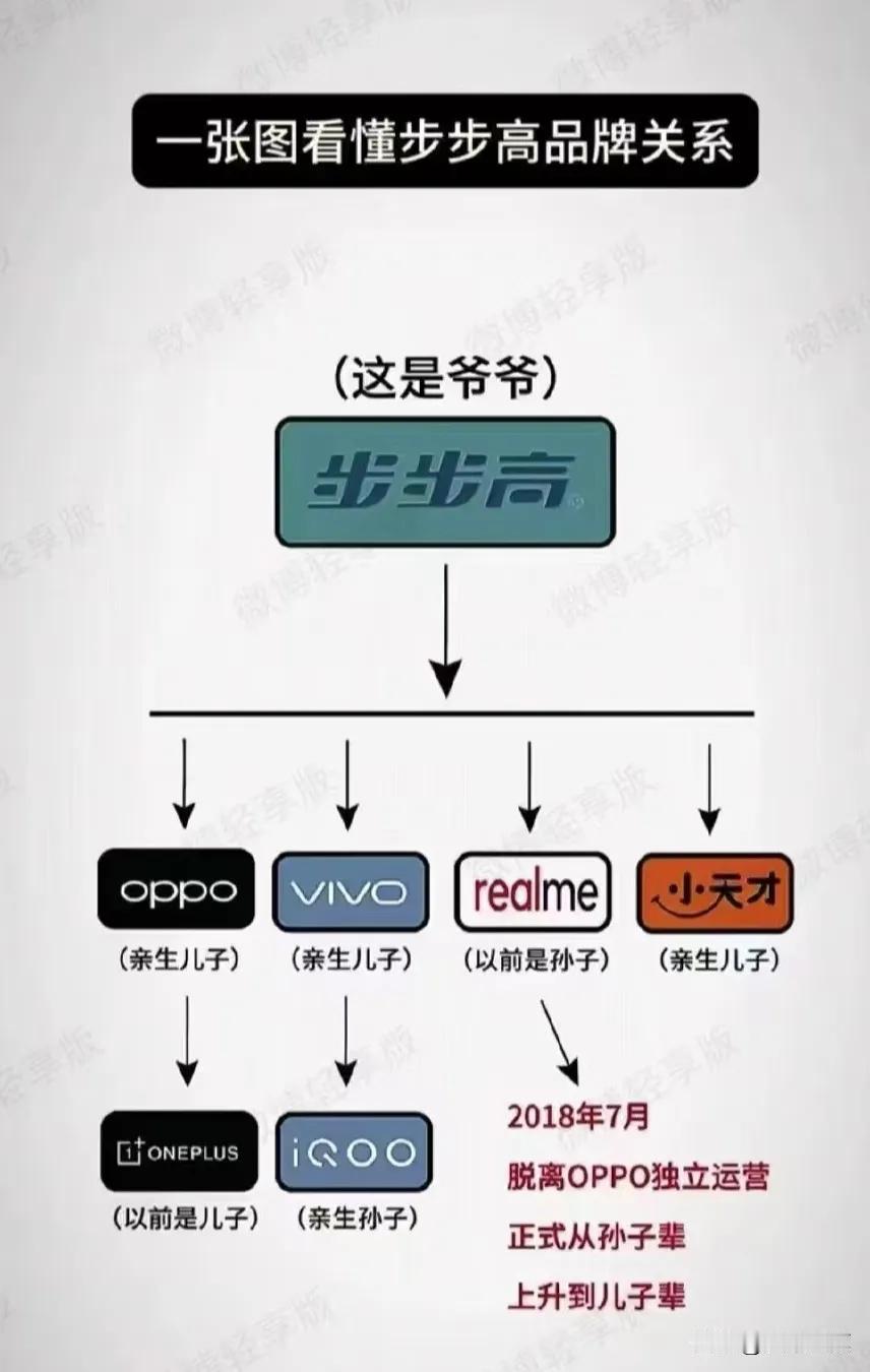 步步高，曾经的国民品牌如今的背影里藏着什么故事？
步步高曾经风靡全国，现在虽然衍