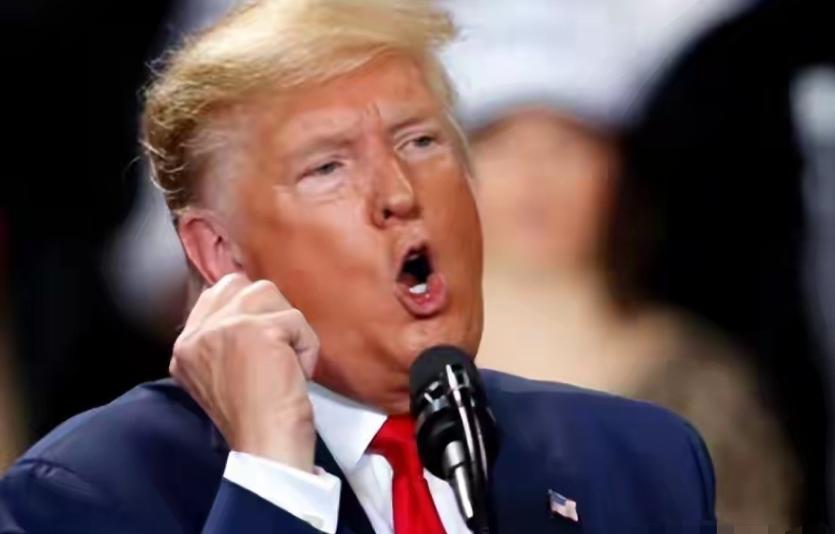 患有精神疾病不能担任美国总统！
民主党籍众议员安萨里称，特朗普已患上严重的精神疾