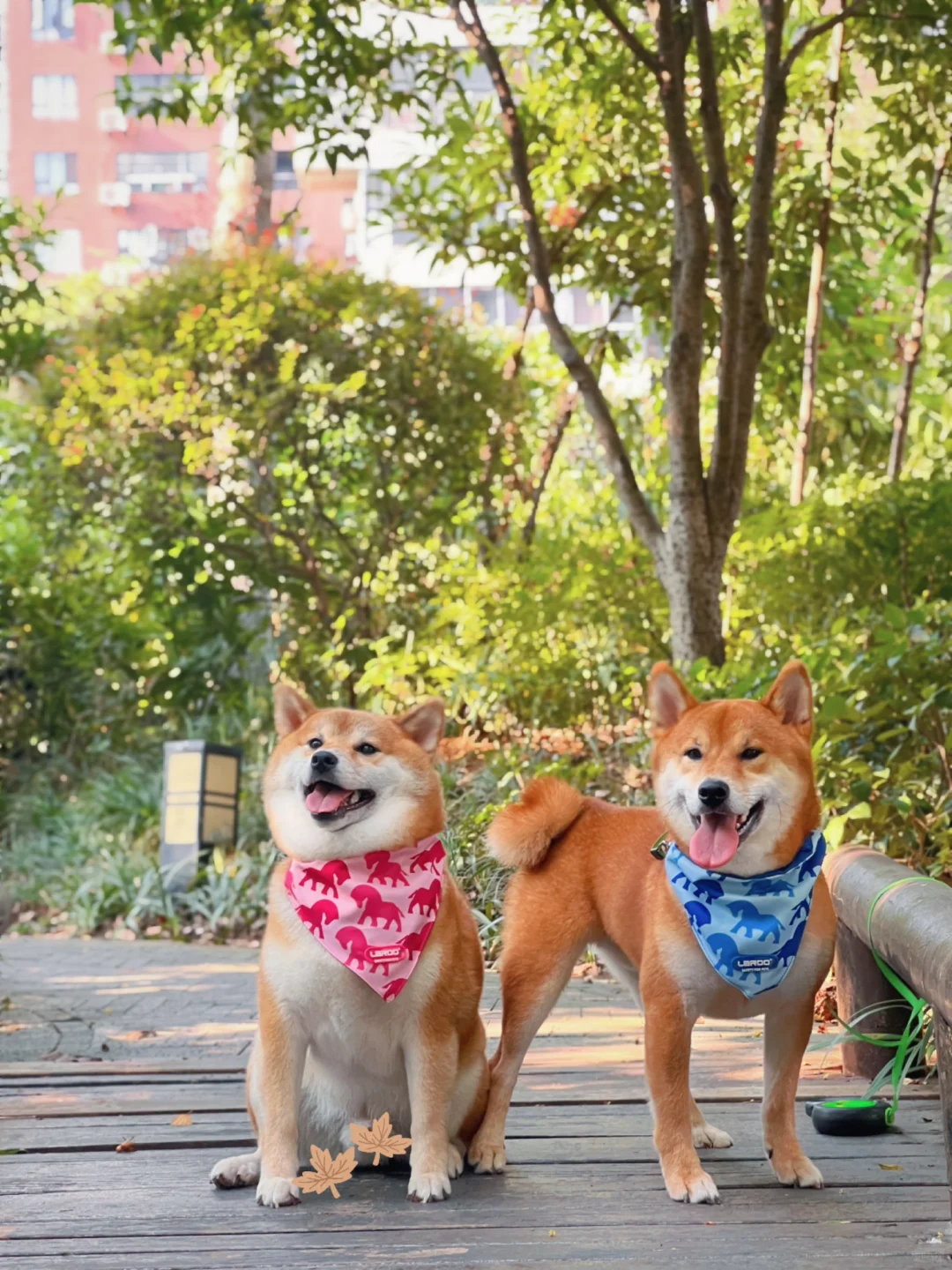 为什么亲生的长得一点也不像？？