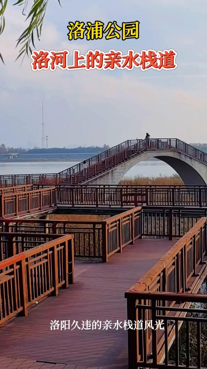 洛浦公园。
洛河上的亲水栈道，洛阳久违的亲水栈道风光。