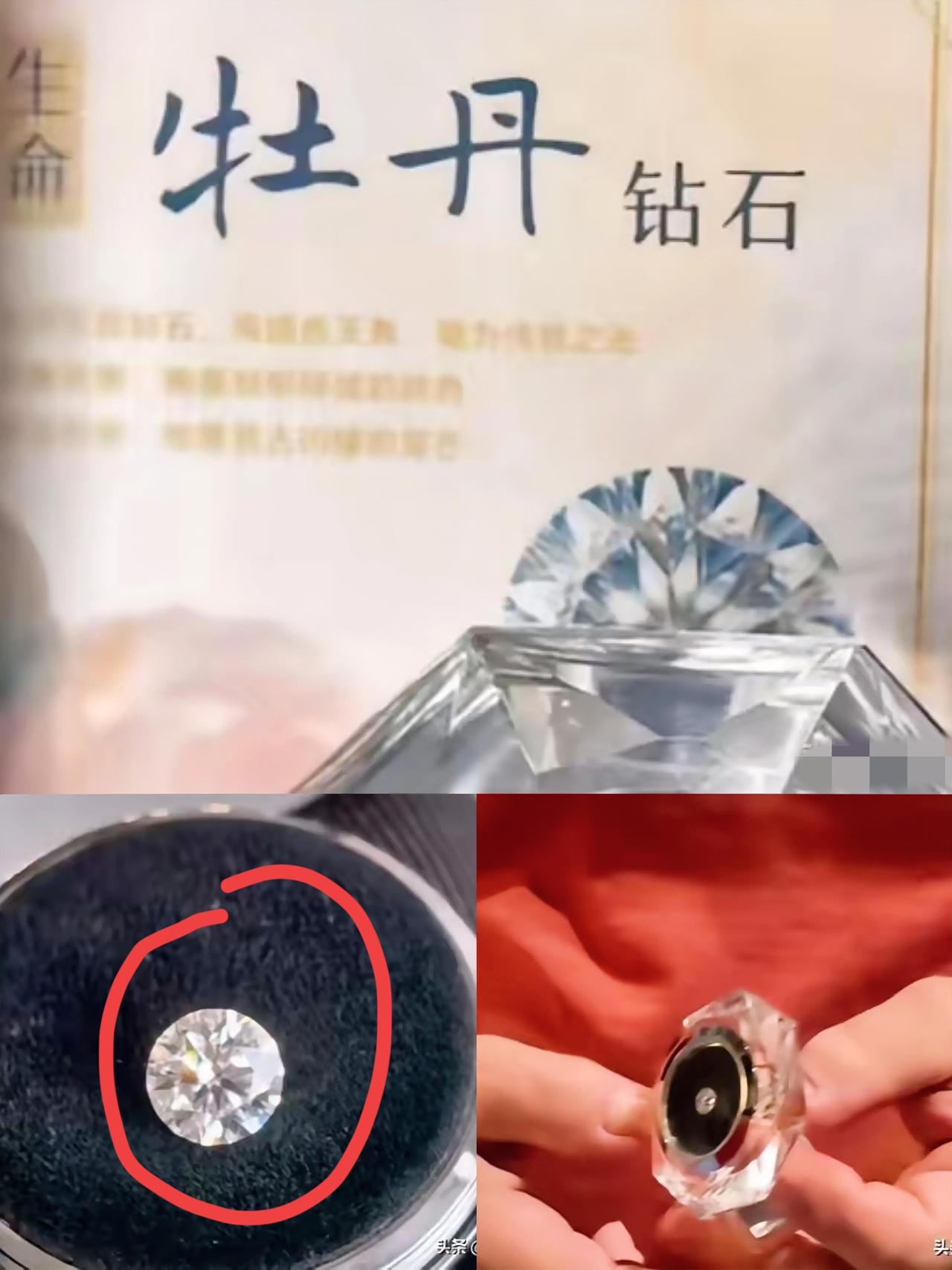 治沙英雄殷玉珍女士和那位美国老友赛·考斯基，分别获赠洛阳一克拉牡丹钻。

这事儿