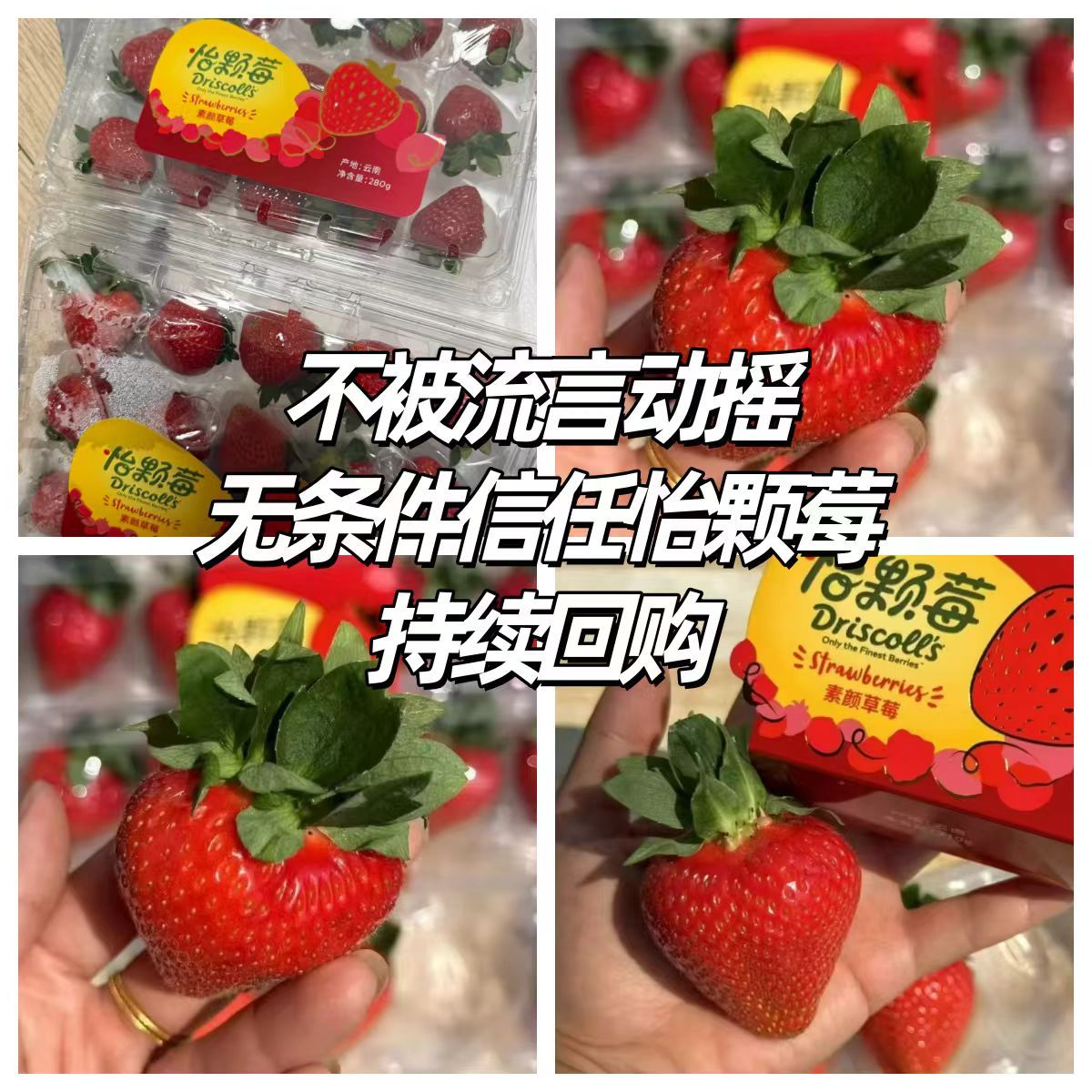 吃了好多年的老品牌，见证全程标准化种植与严苛检测，不被流言动摇，无条件信任怡颗莓