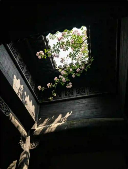 令人深思的一段话：“所有的人生问题，本质上是经济问题。所有的经济问题，本质上是认