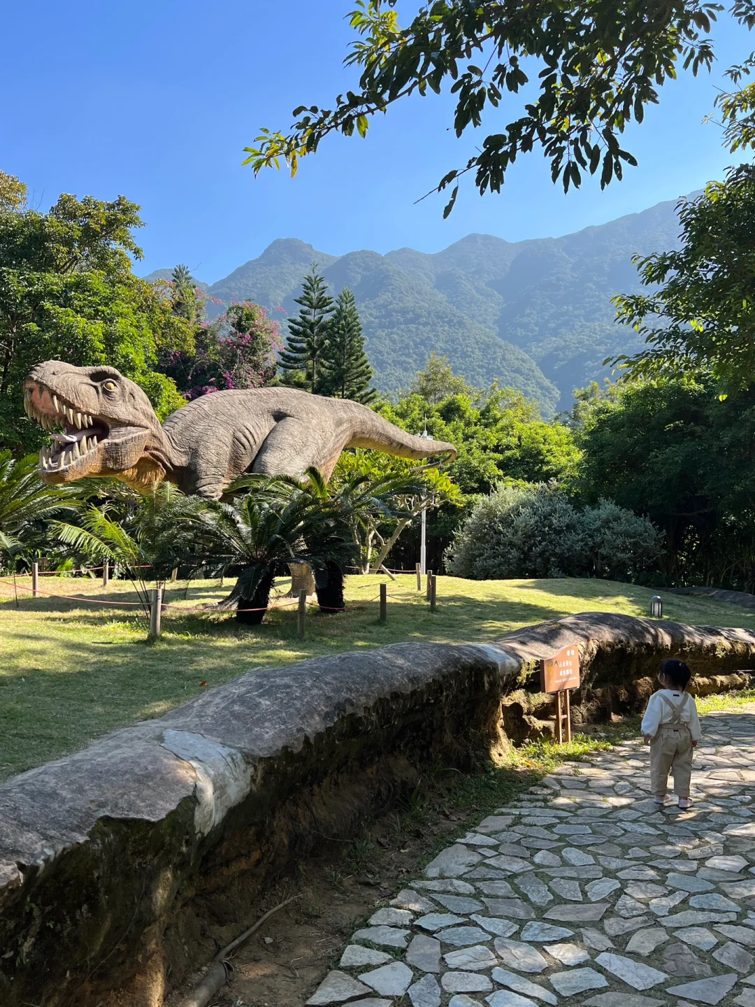 深圳的！还有人不知道？免费看👀火山🌋恐龙🦕