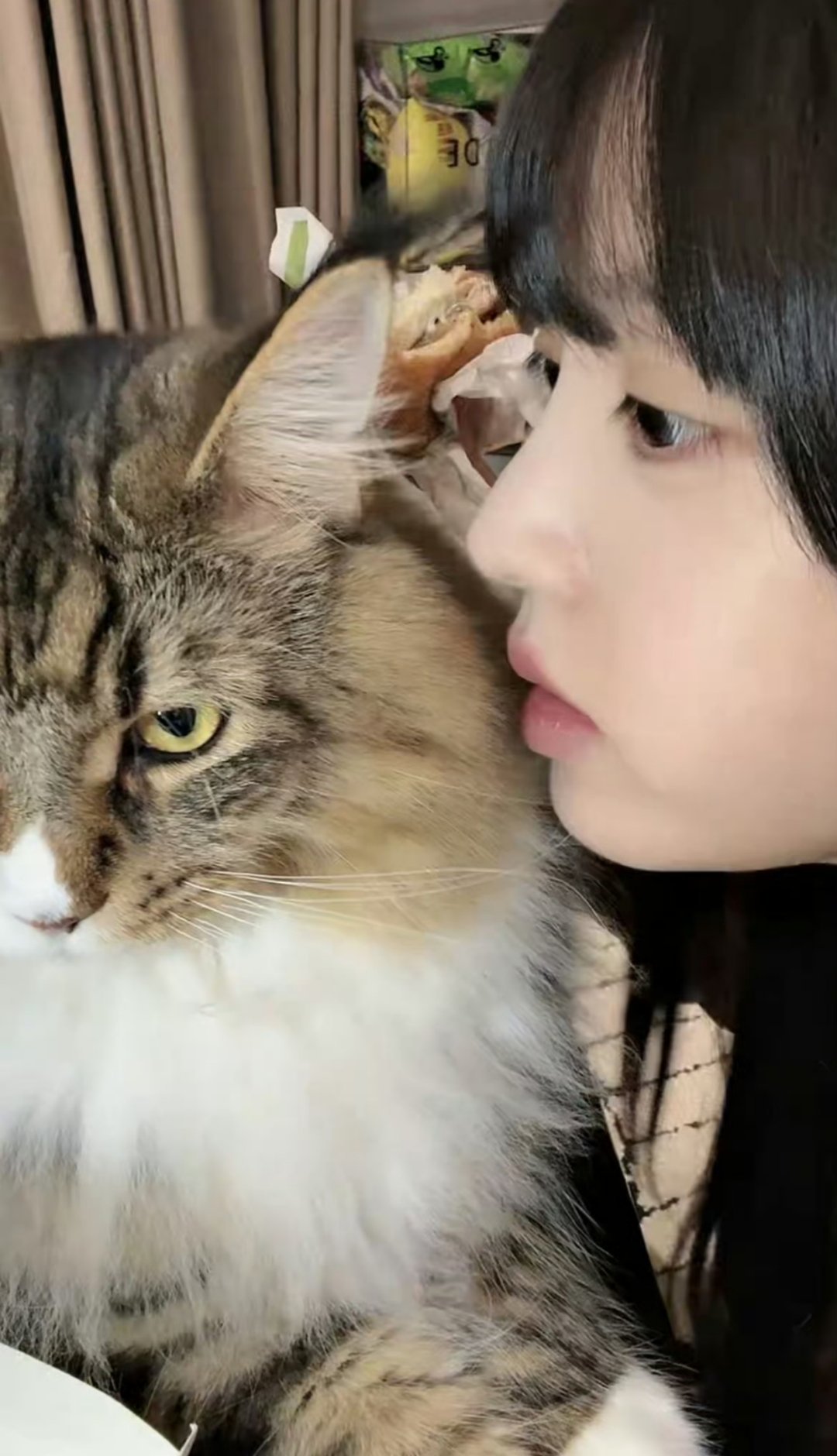 田曦薇带猫直播真瓜主🍉！爱信等[抓狂]田曦薇说女推团综快了 ​​​