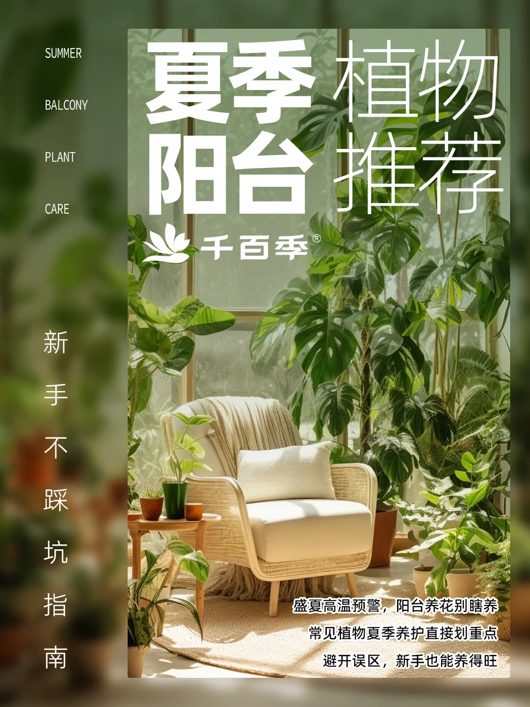 高温天阳台选花指南 好养又易爆花