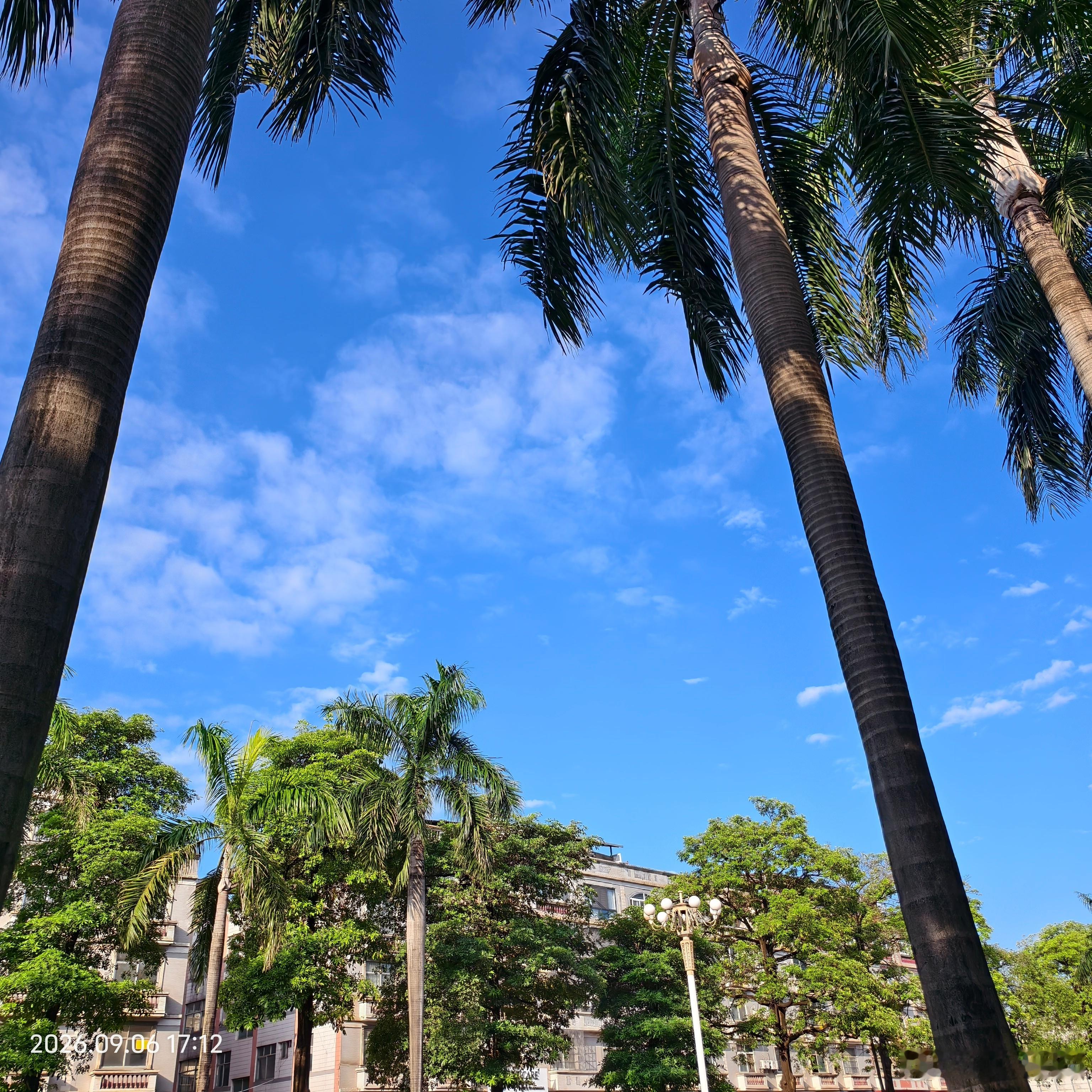 蓝蓝的天空又回来了[哈哈][哈哈]心情可以好起来了[哈哈]感觉我们这里，这样蓝天