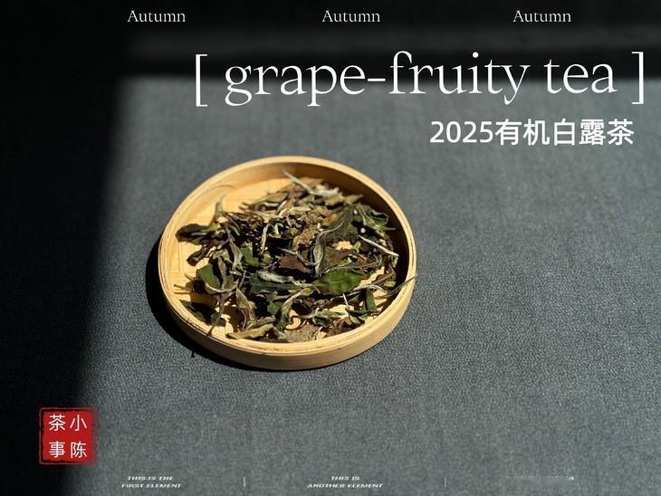 zui被新手忽略的一款白茶，老茶客每年成箱囤！
白茶里，有一类茶因为外形粗犷，经