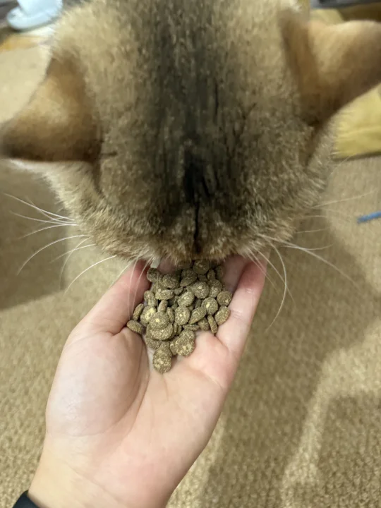 等等[石化R]....膨化粮现在这么干爽了吗